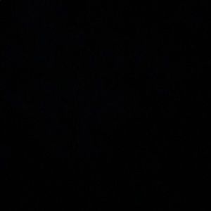 Meet your Posher, George